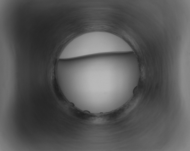 X0000101190356200806270852