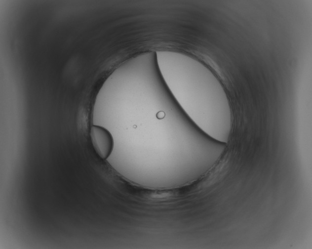 X0000101190357200806270852