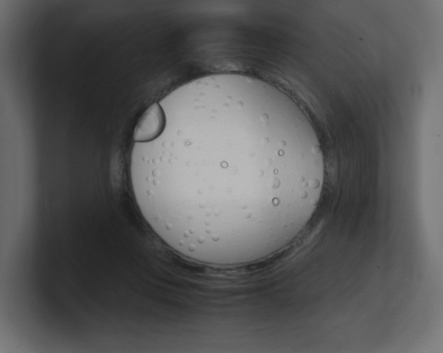 X0000101190359200806270852