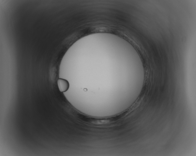 X0000101190361200806270852
