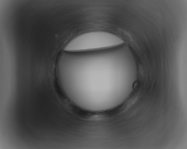 X0000101190364200806270852
