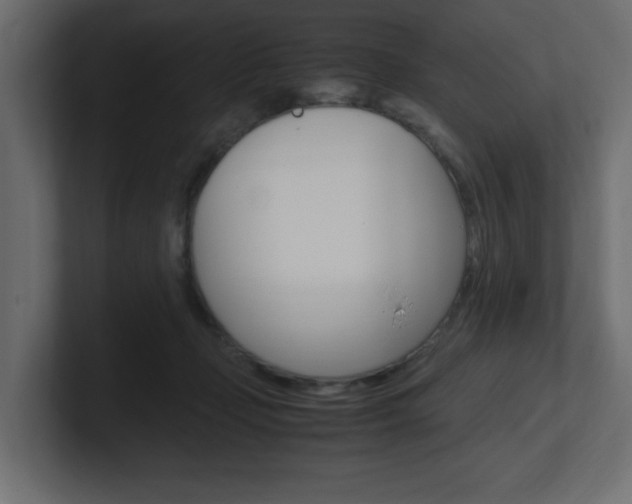 X0000101190365200806270852