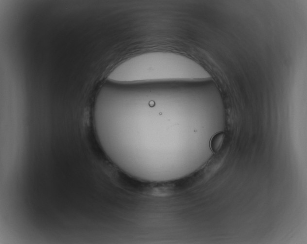 X0000101190368200806270852