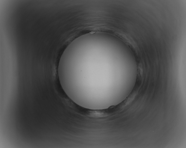 X0000101190380200806270852