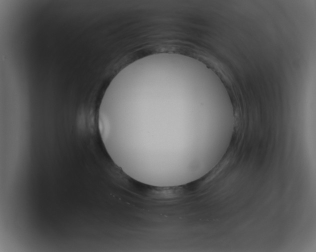 X0000101190381200806270852