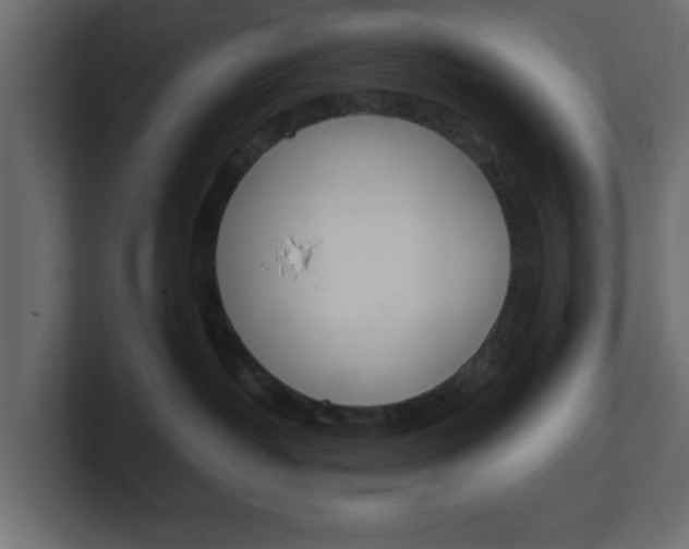 X0000101190382200806270852