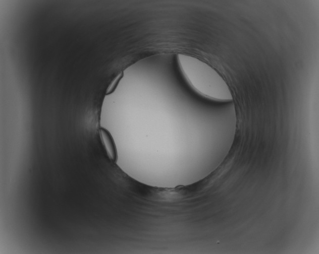 X0000101190383200806270852