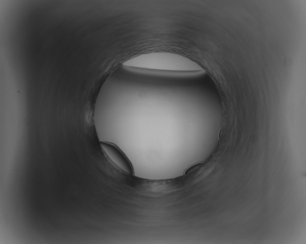 X0000101190384200806270852