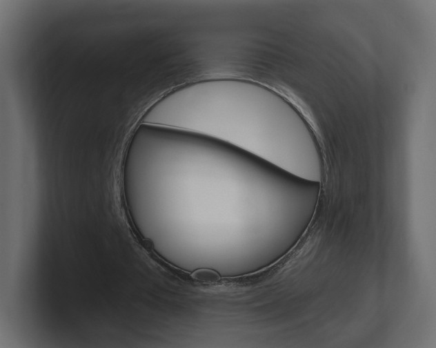X0000101190385200806270851