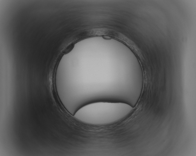 X0000101190386200806270851