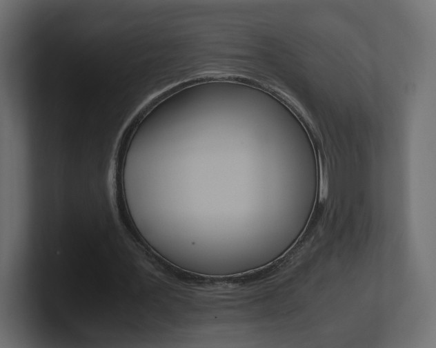 X0000101190387200806270851
