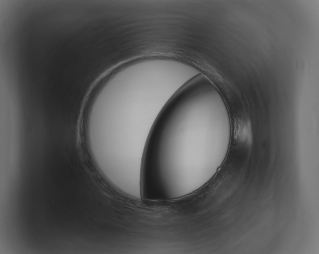 X0000101190388200806270851