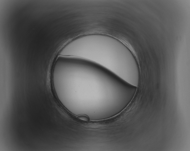 X0000101190389200806270851
