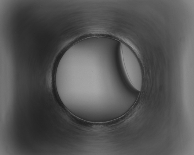 X0000101190391200806270851