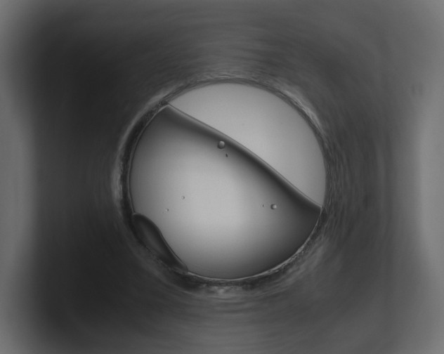 X0000101190395200806270851