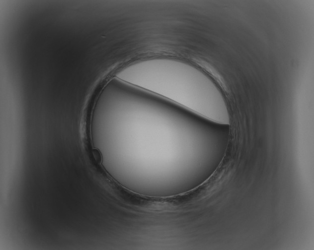 X0000101190399200806270851