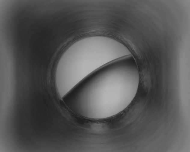 X0000101190400200806270851