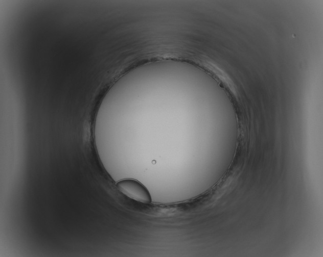 X0000101190401200806270851