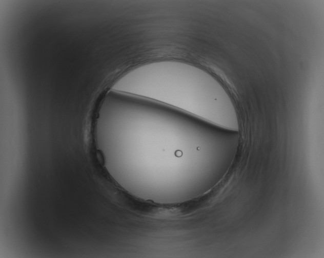 X0000101190403200806270851