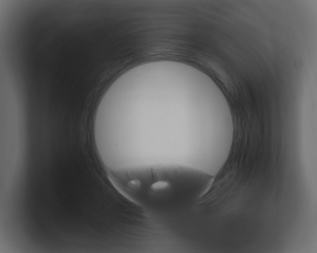X0000101190404200806270851