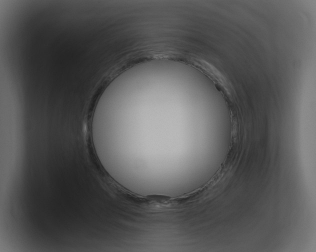 X0000101190405200806270851