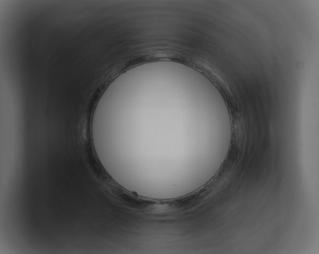 X0000101190406200806270851