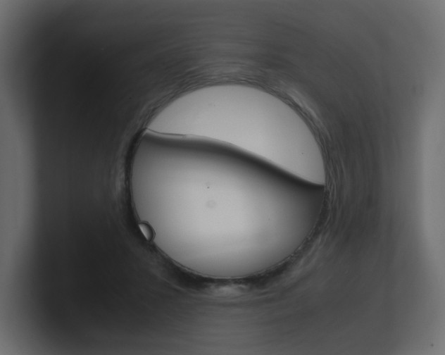 X0000101190407200806270851