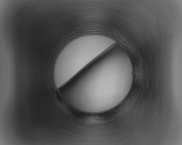 X0000101190408200806270851