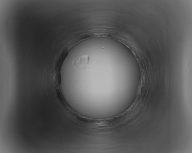 X0000101190411200806270851