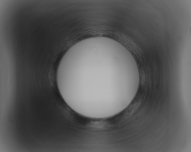 X0000101190414200806270851