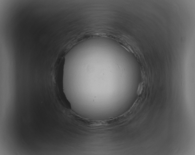 X0000101190415200806270851