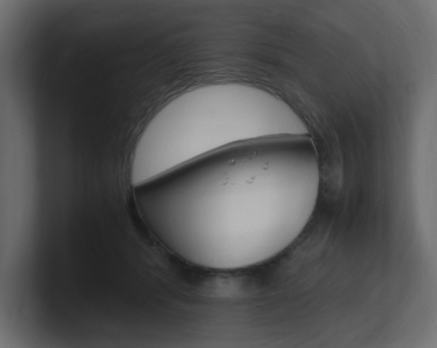 X0000101190416200806270851