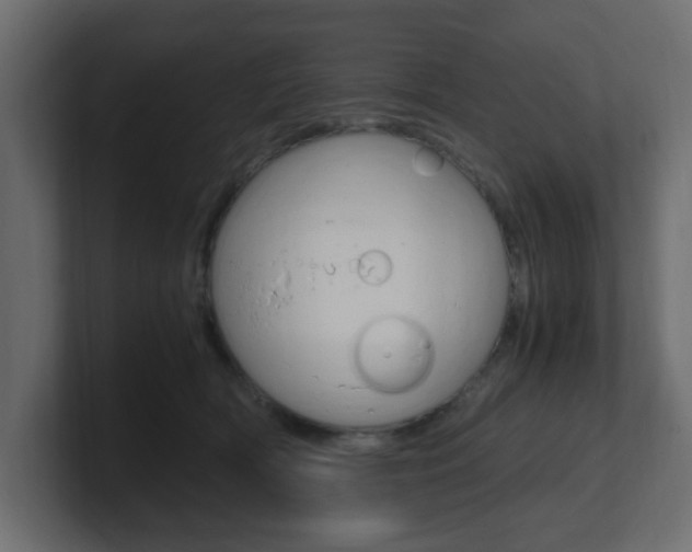 X0000101190418200806270851