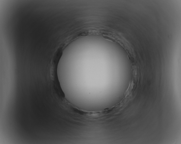 X0000101190419200806270851