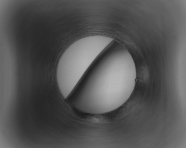 X0000101190420200806270851
