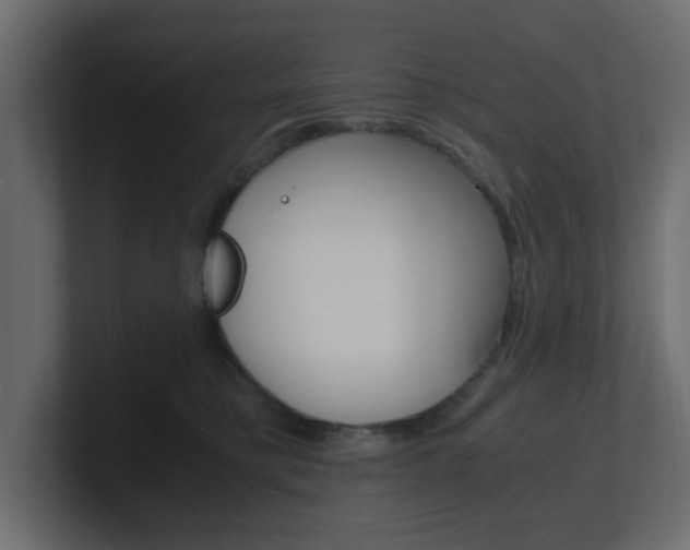 X0000101190421200806270851