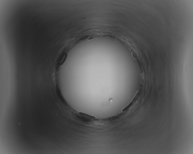 X0000101190423200806270851