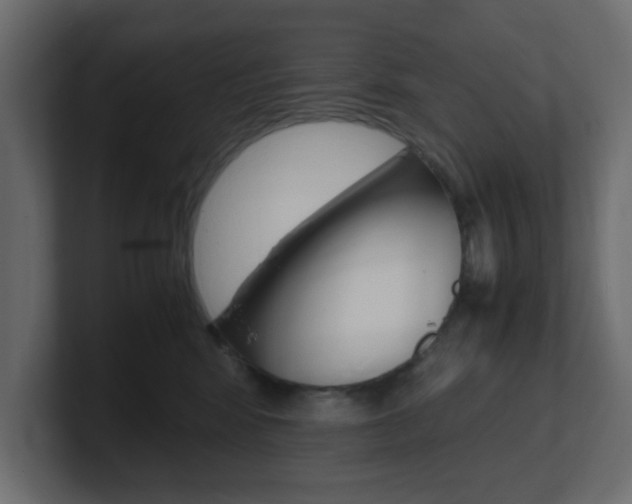 X0000101190424200806270851