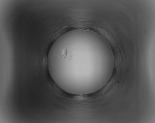 X0000101190425200806270851