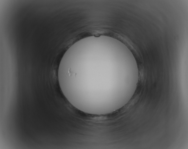 X0000101190426200806270851