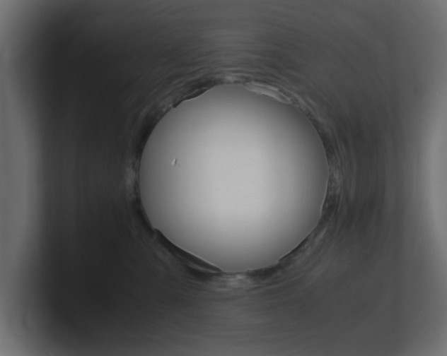 X0000101190427200806270851