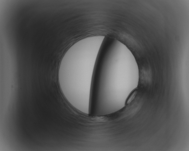 X0000101190428200806270851