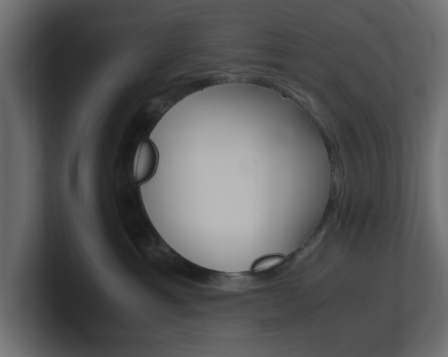 X0000101190429200806270851