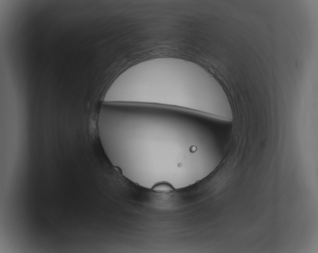 X0000101190432200806270851