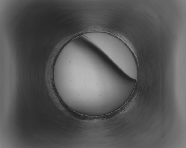 X0000101190433200806270850