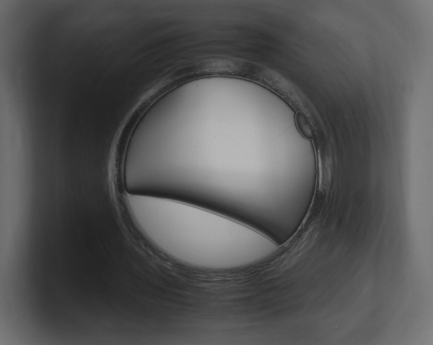 X0000101190435200806270850