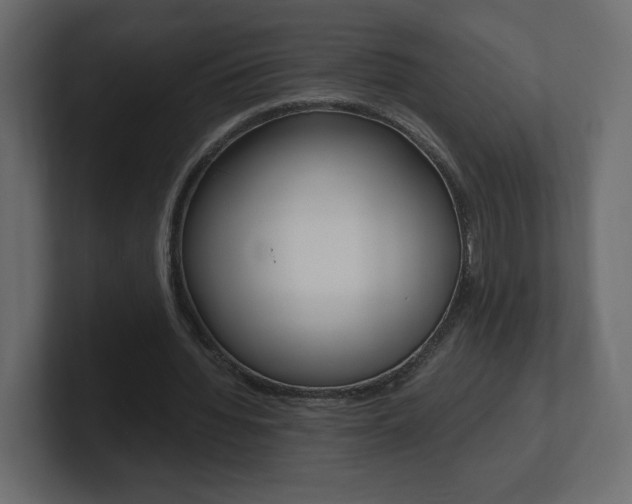 X0000101190436200806270850