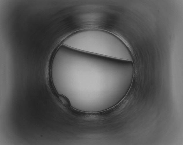 X0000101190437200806270850