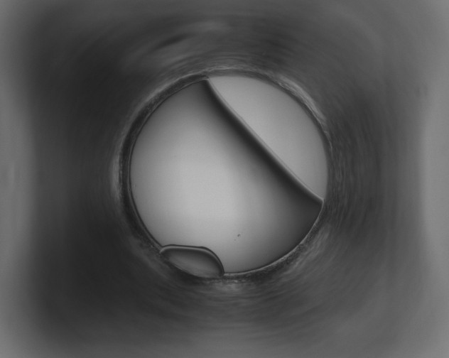 X0000101190439200806270850