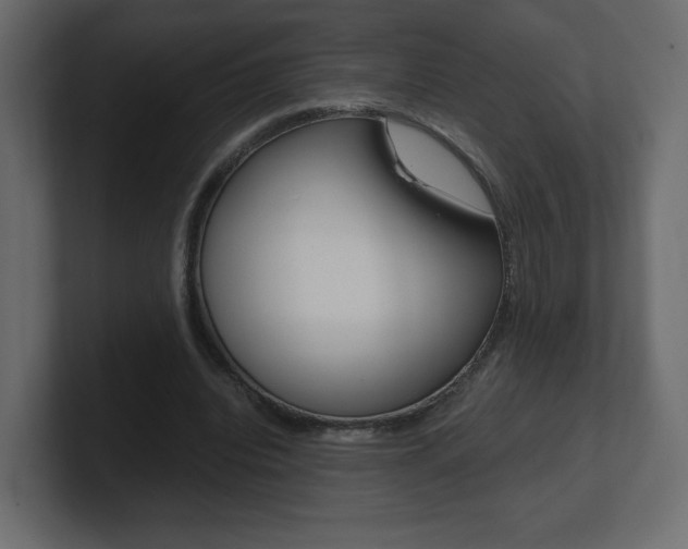 X0000101190440200806270850